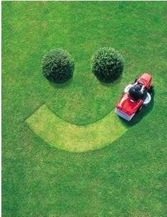 Lawn-Smiley-Face.jpg