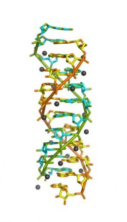 DNA-story-1-image-3-e1525279690295.jpg