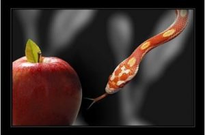 Apple-Snake